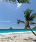 Bader 43 лет Djerba Тунис