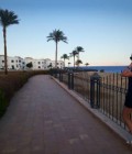 Svetlana 38 ans Vitebsk Biélorussie