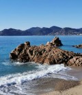 Pascal 69 ans Cannes France