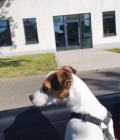 Jürgen 57 ans Mönchengladbach Allemagne