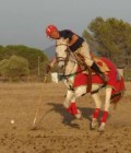 David 73 лет Frejus Франция