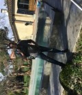 Bruno 63 лет Toulouse  Франция