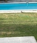 Guy 77 ans La Rochelle France