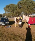 David 73 лет Frejus Франция