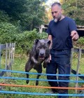 Vincent 48 лет Magny En Vexin Франция