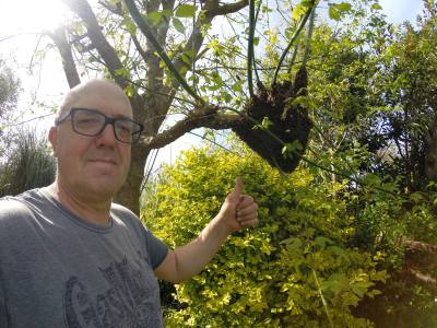Nicolas 51 ans Pleumeur-bodou France