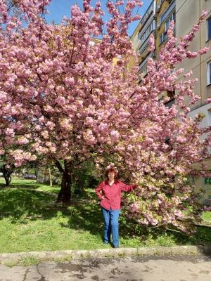 Maria 77 Jahre Uzhorod Ukraine