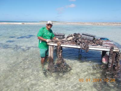 Cyrille 58 ans Papeete Polynésie française