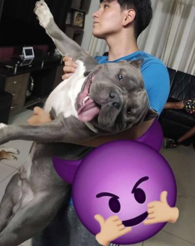 Alistair 26 лет Lima Россия