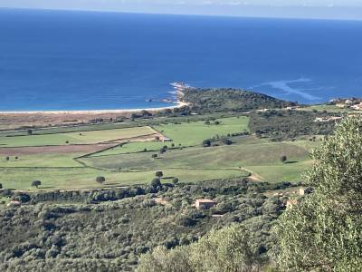 Olivier 50 лет Ajaccio Франция