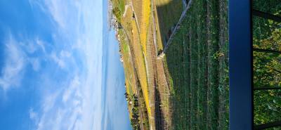 Jordan 29 лет Neydens Франция