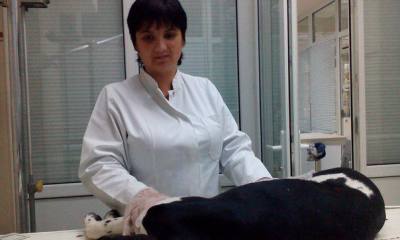 Olesea 42 ans Edinet Moldavie