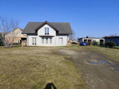 David 33 лет Ptuj Словения