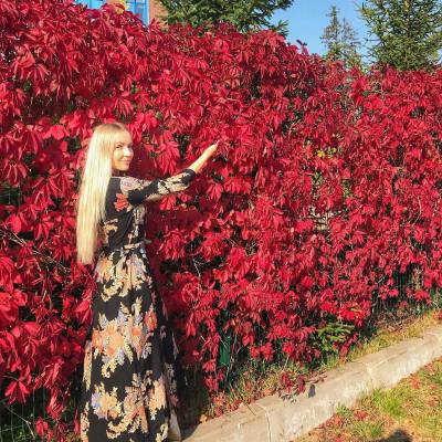Yelyzaveta 36 ans Kyiv Ukraine