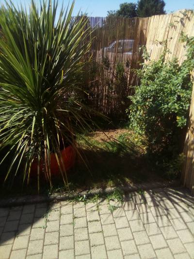 Jean-Marie 61 ans Palluau France