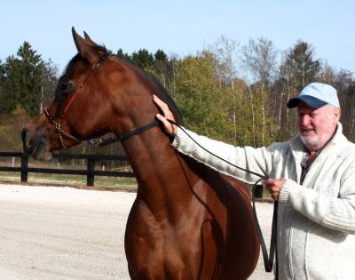 Henri 72 ans Stavelot 4970 Belgique