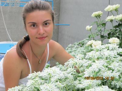 Lyudmila 33 ans Anenii Noi Moldavie